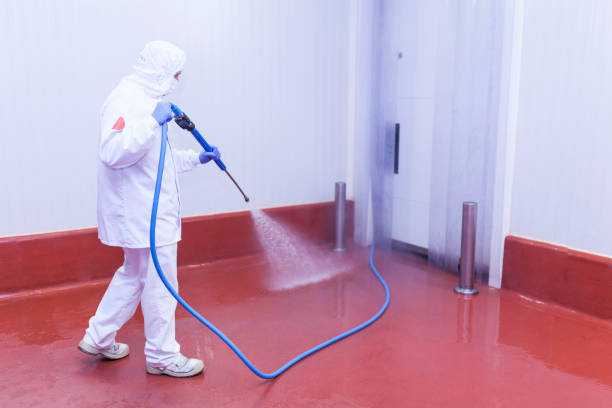 Best Rust Removal  in Dillsboro, IN